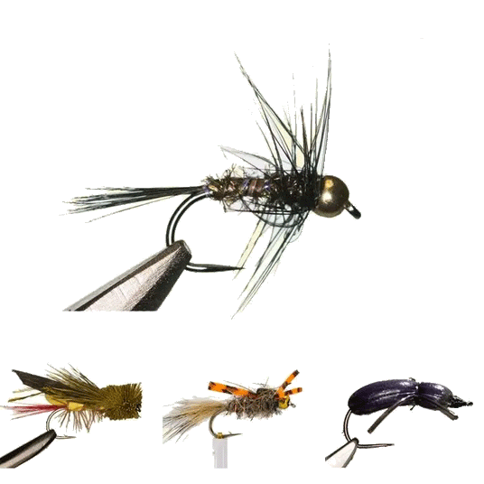 Freshwater Flies