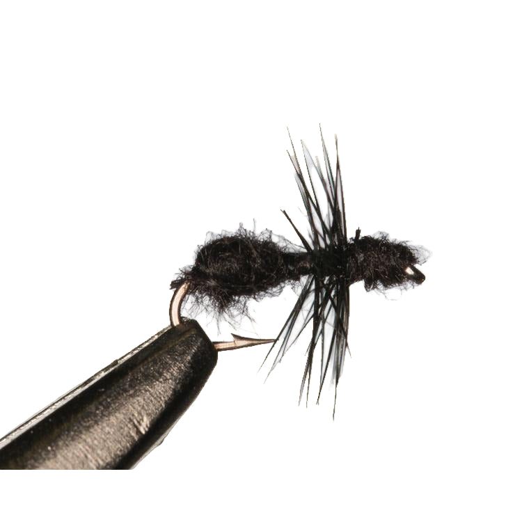 Ant Fishing Fly Black
