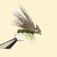 Elk-Hair-Caddis-Olive-14-2.jpg