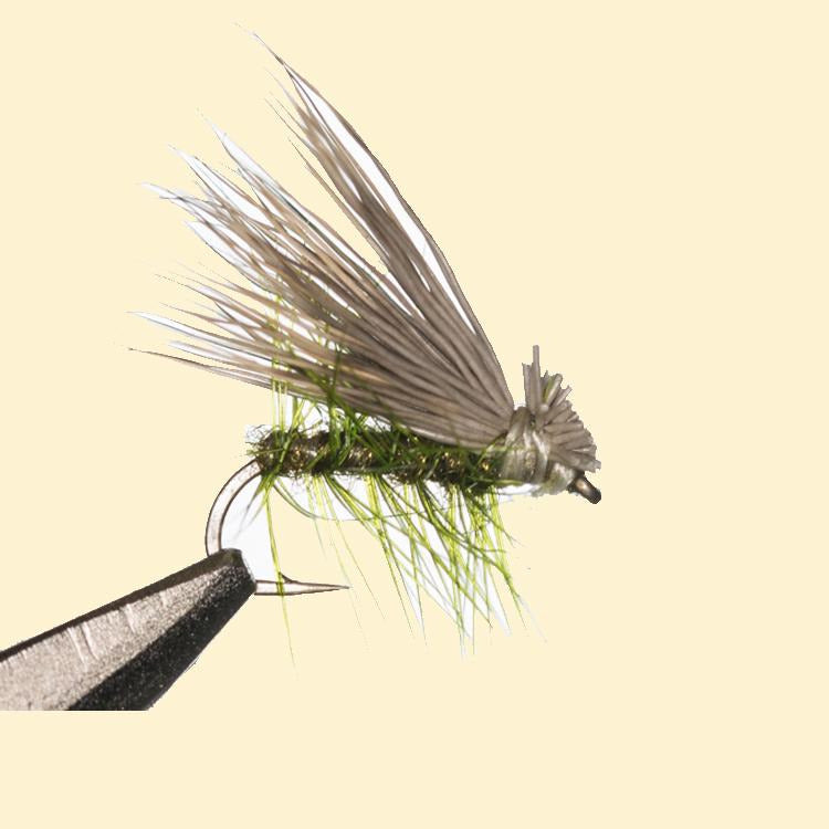 Elk-Hair-Caddis-Olive-14-2.jpg