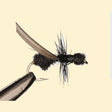 Flying-Ant-Black-14-2.jpg