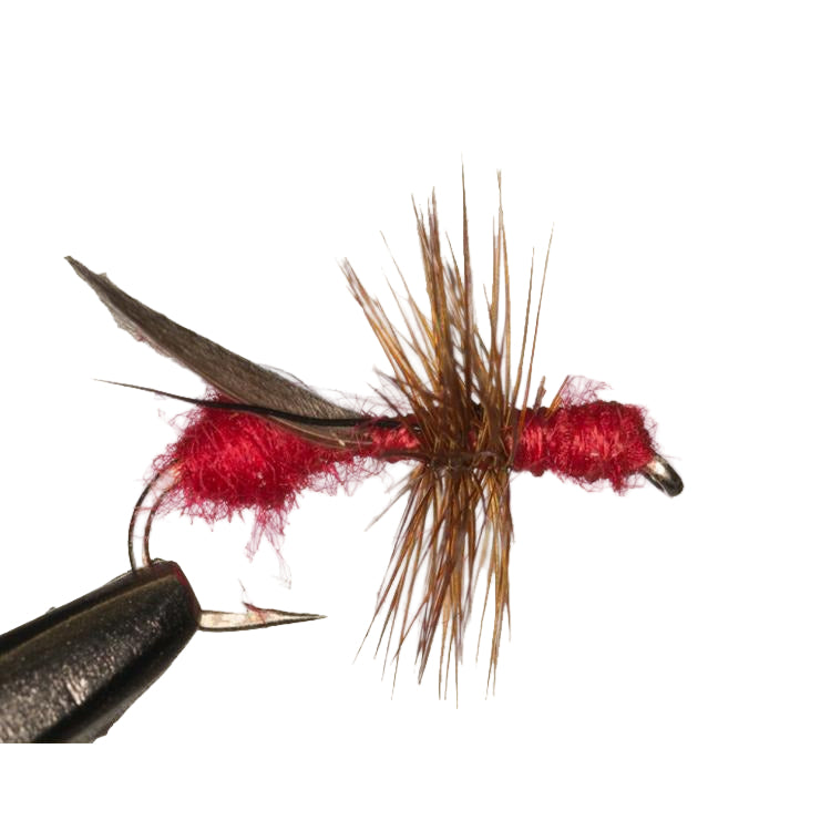 Flying Ant Fishing Fly Red