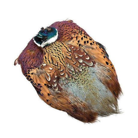 Hareline-Dyed-Pheasant-Skin.jpg