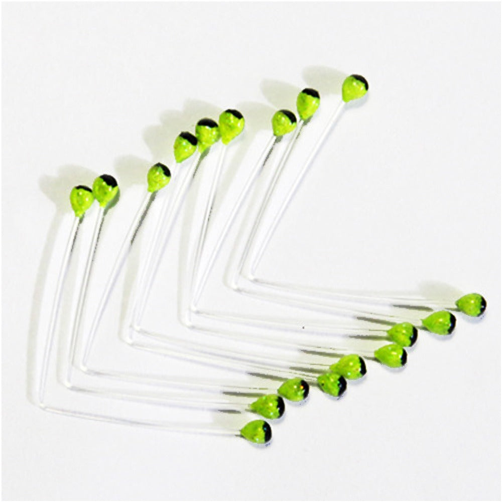 Shrimp and Crustacean Eyes