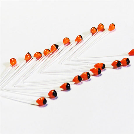 Shrimp and Crustacean Eyes