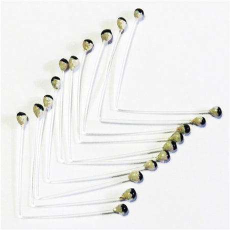 Shrimp and Crustacean Eyes