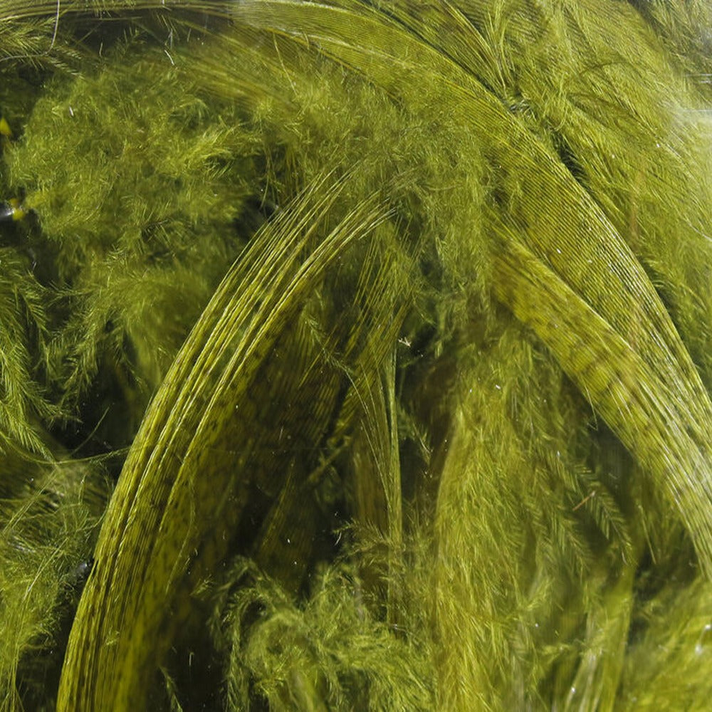 Hareline Marabou Blood Quills