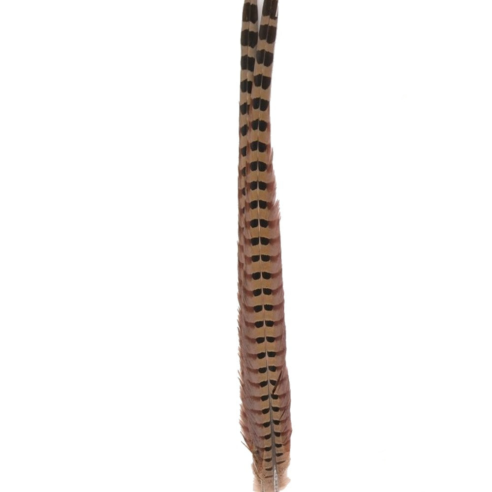 Hareline Ringneck Pheasant Tail Feathers