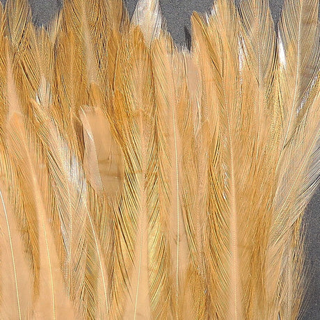 Hareline Strung Chinese Saddle