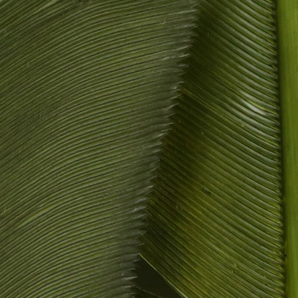 Hareline Turkey Biot Quills