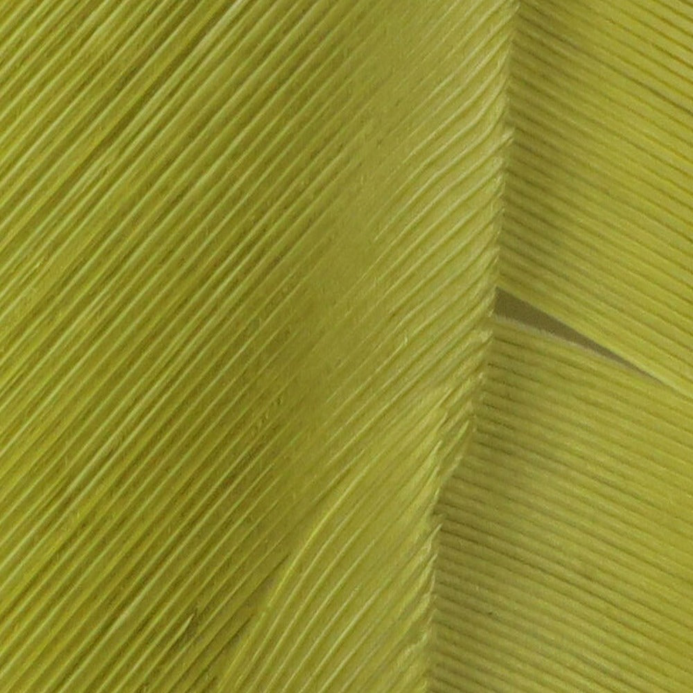 Hareline Turkey Biot Quills