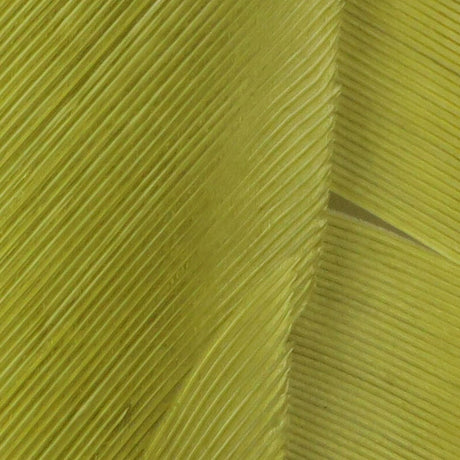 Hareline Turkey Biot Quills