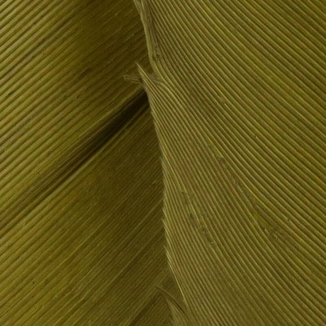 Hareline Turkey Biot Quills