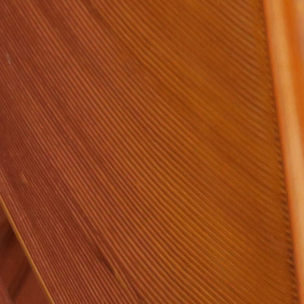 Hareline Turkey Biot Quills