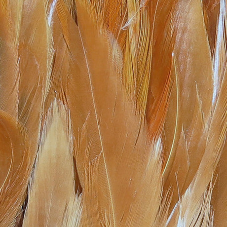 Hareline Woolly Bugger Saddle Hackle