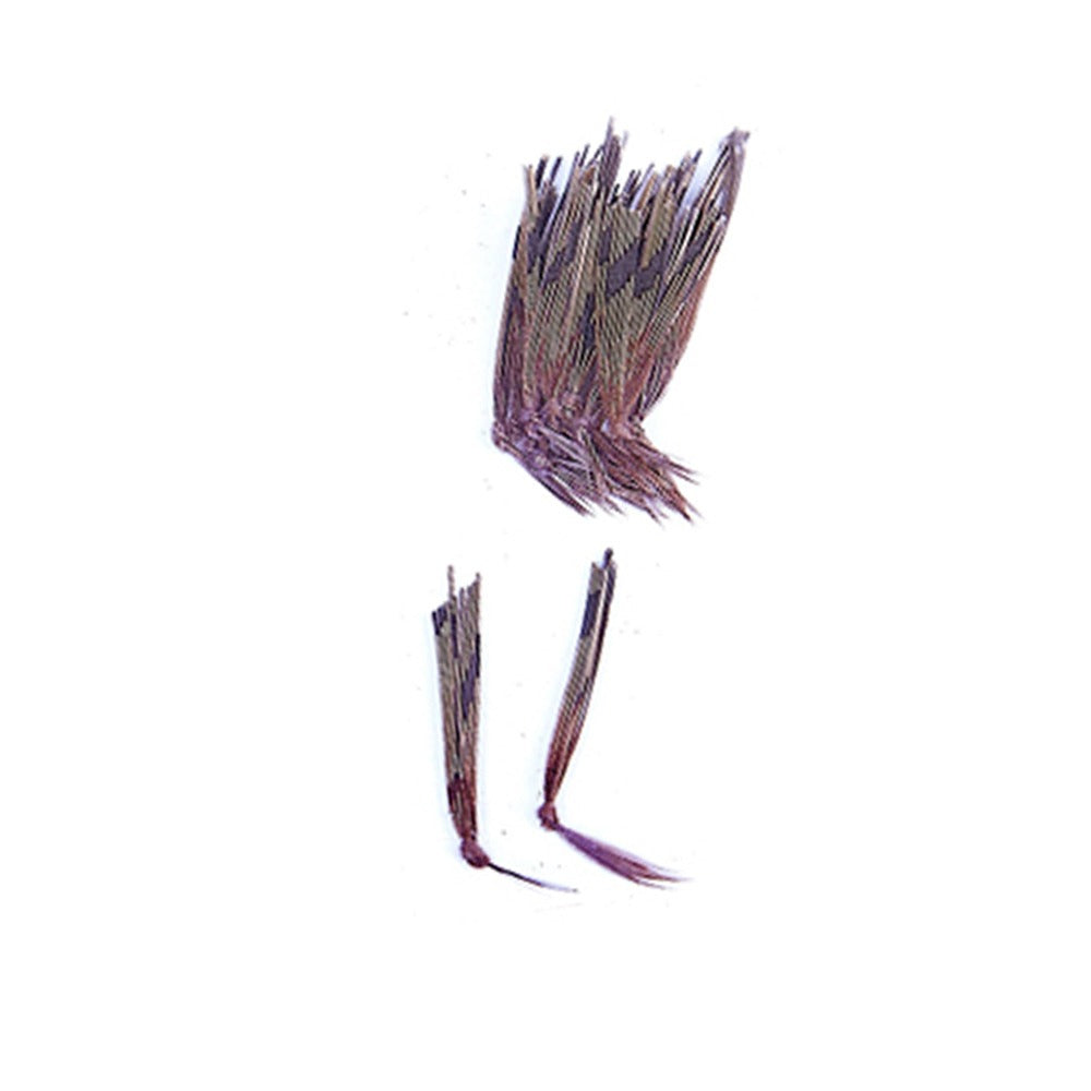 Rainy's Knotted Hopper Legs