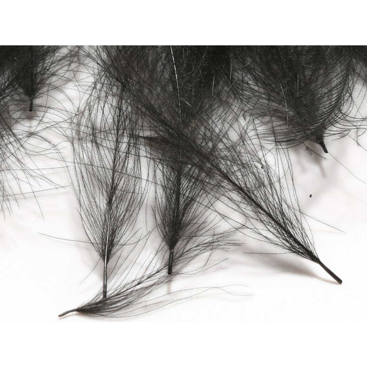 Hareline CDC Feathers Black