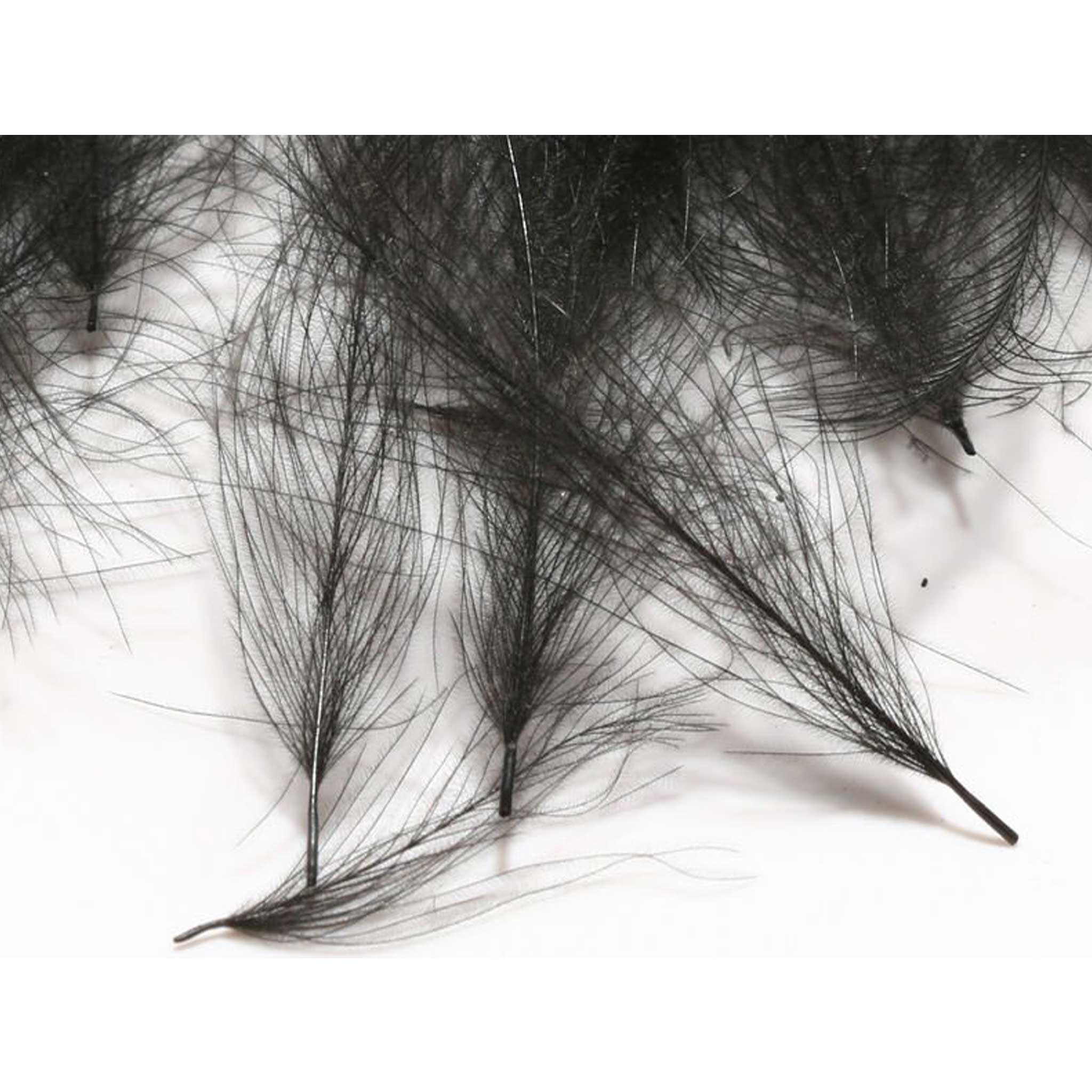 Hareline CDC Feathers Black