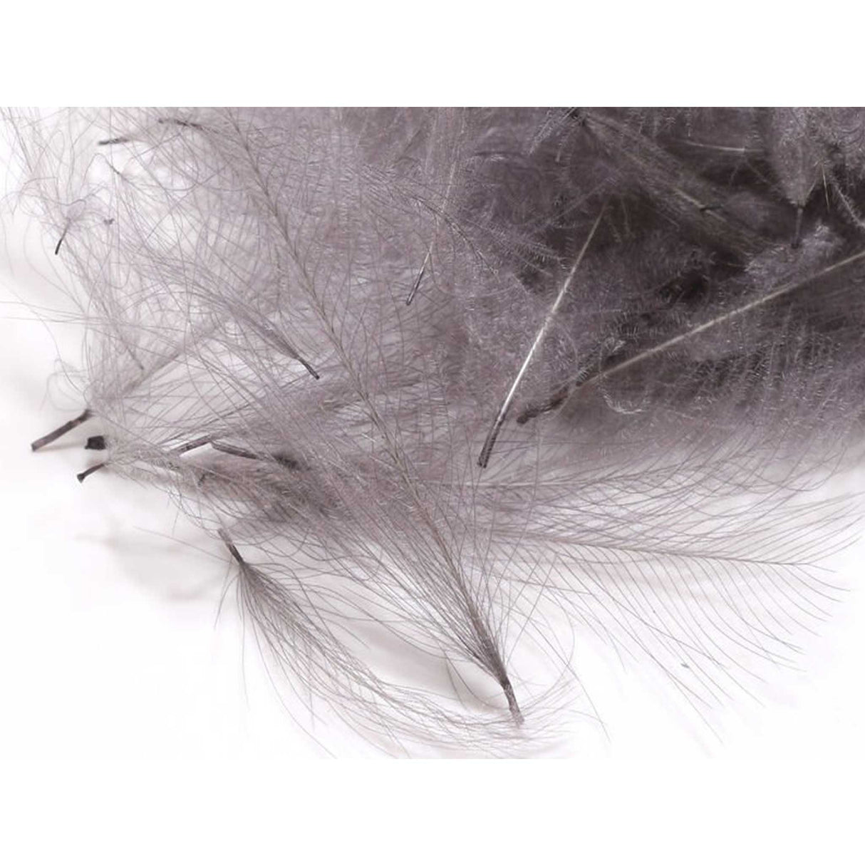 Hareline CDC Feathers Slate Grey