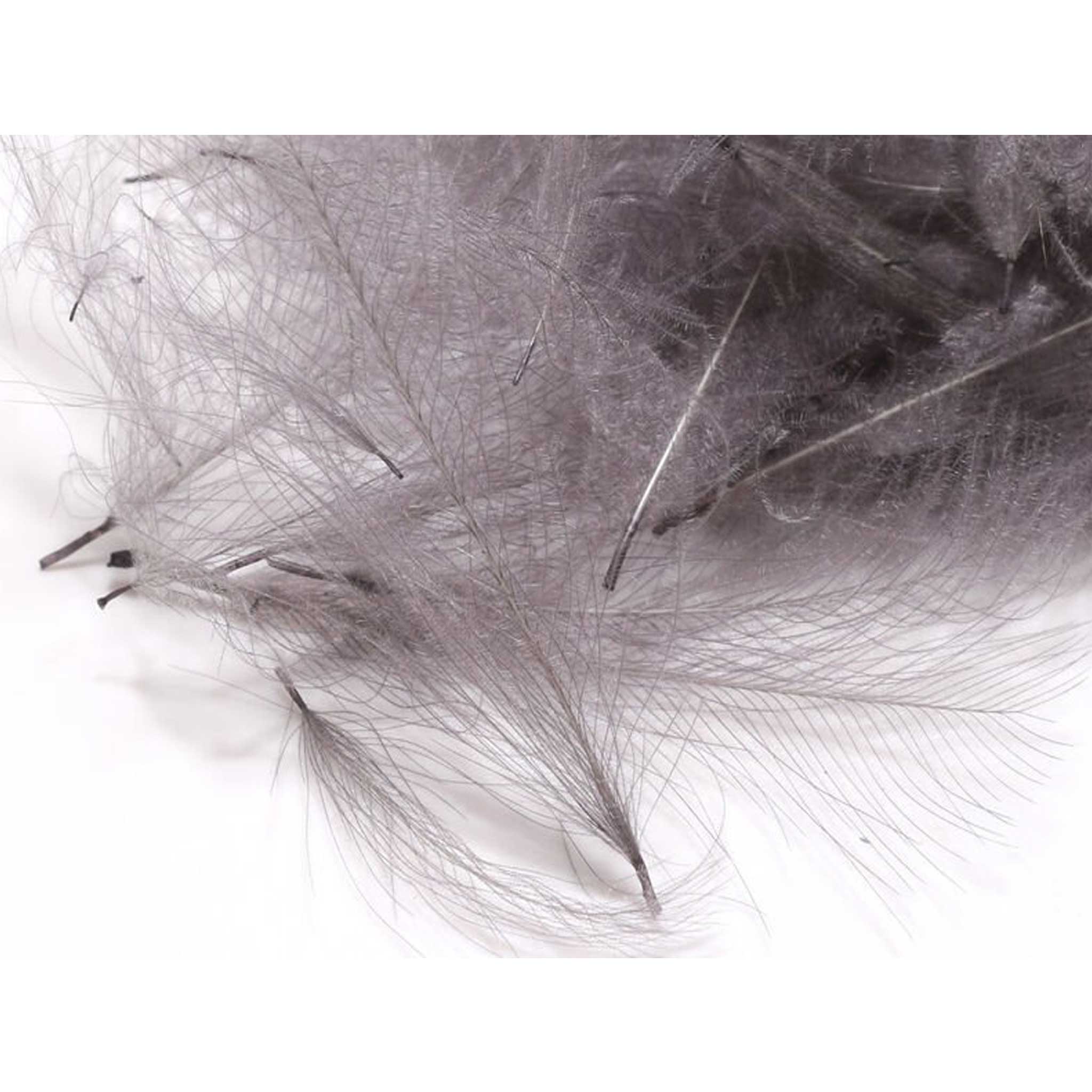 Hareline CDC Feathers Slate Grey