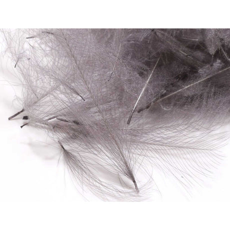 Hareline CDC Feathers Slate Grey