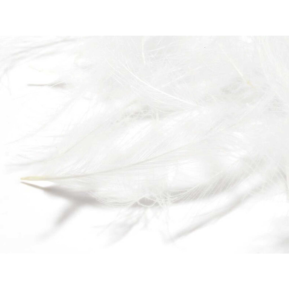 Hareline CDC Feathers White