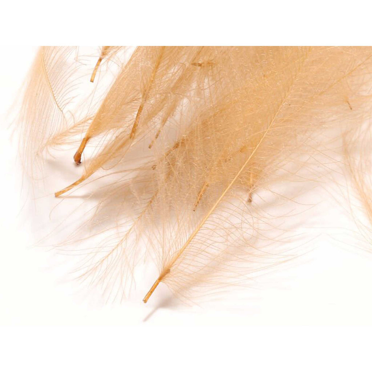 Hareline CDC Feathers Tan