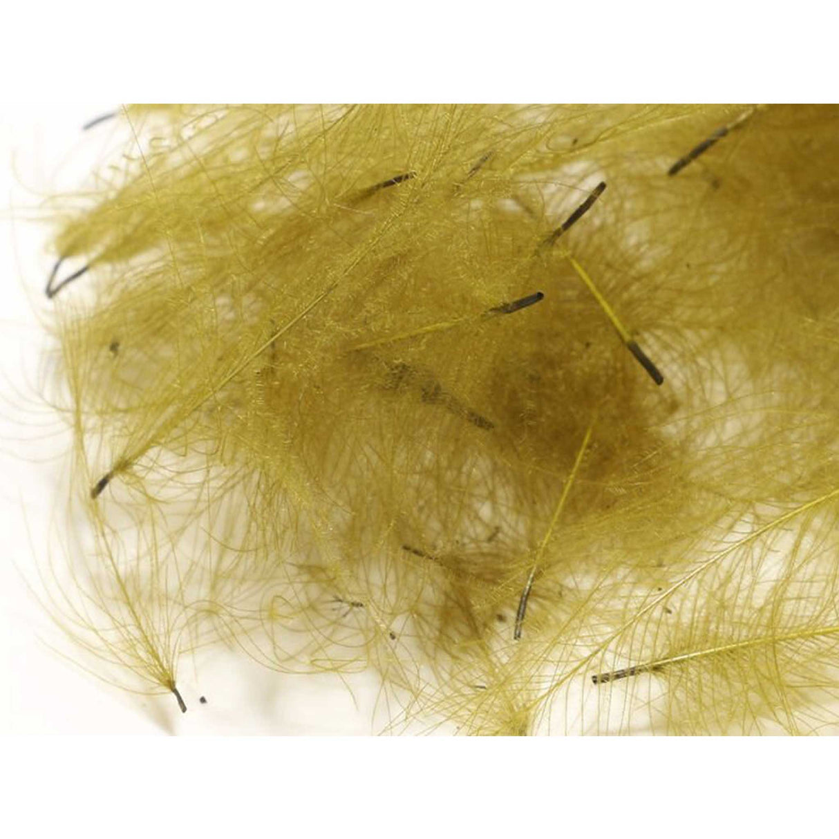 Hareline CDC Feathers Olive