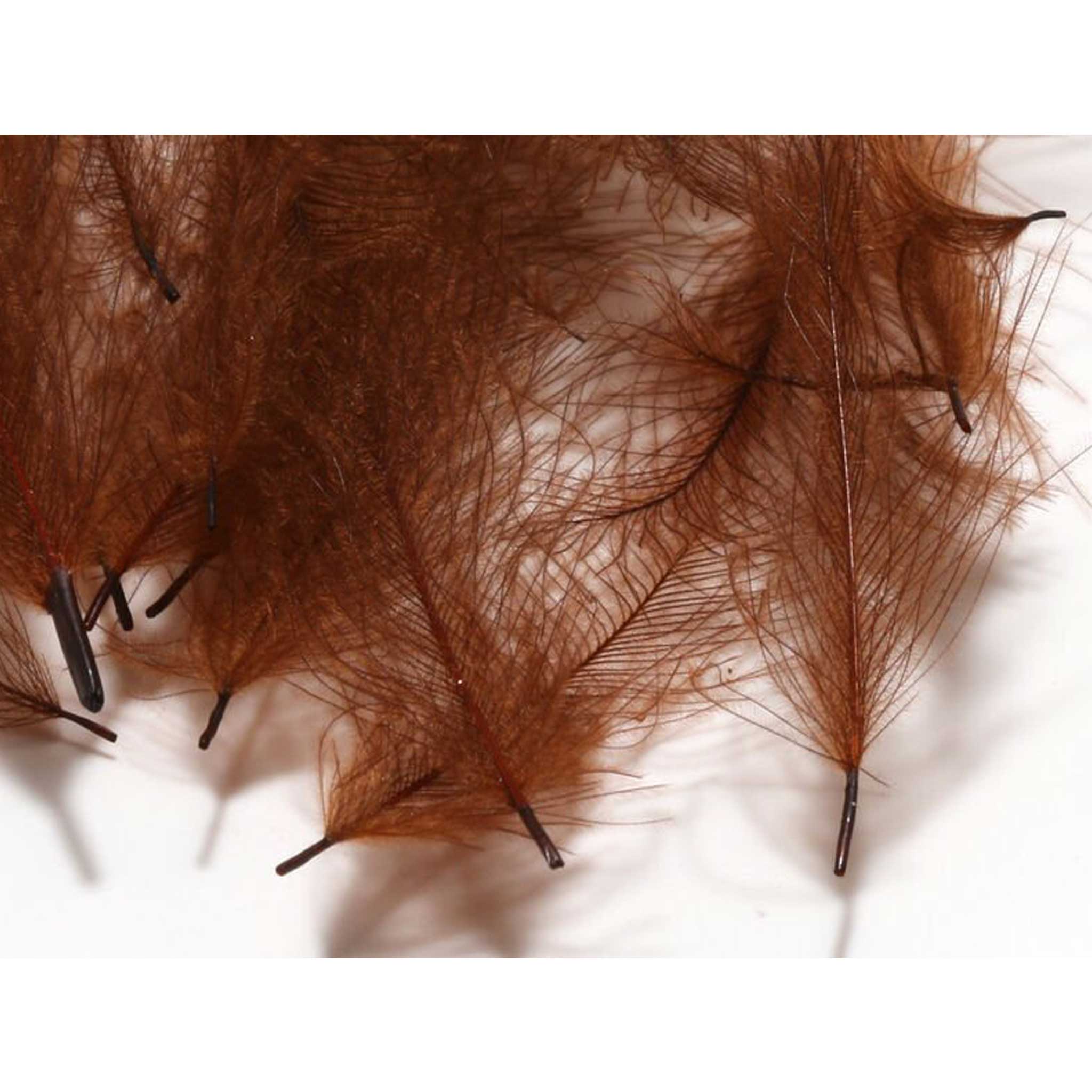 Hareline CDC Feathers Brown