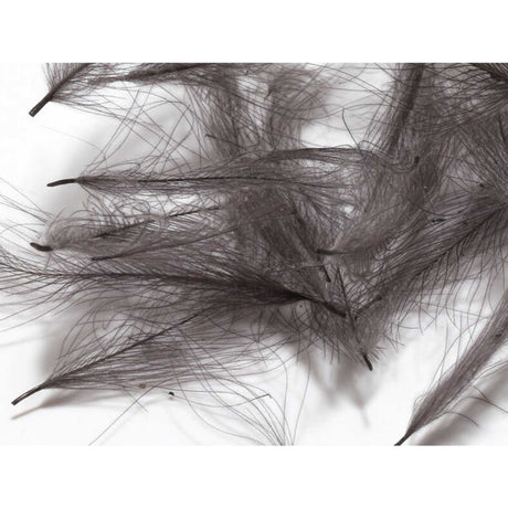 Hareline CDC Feathers Dark Dun