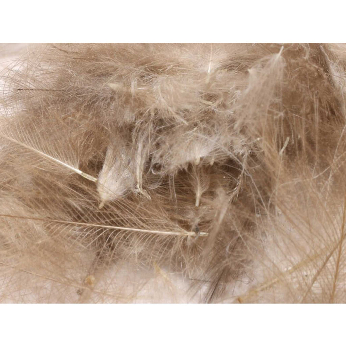 Hareline CDC Feathers Dun