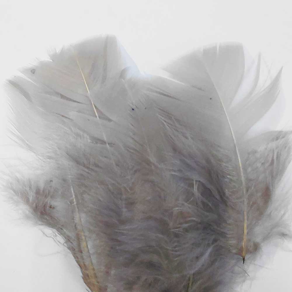 Nature's Spirit Turkey Flats