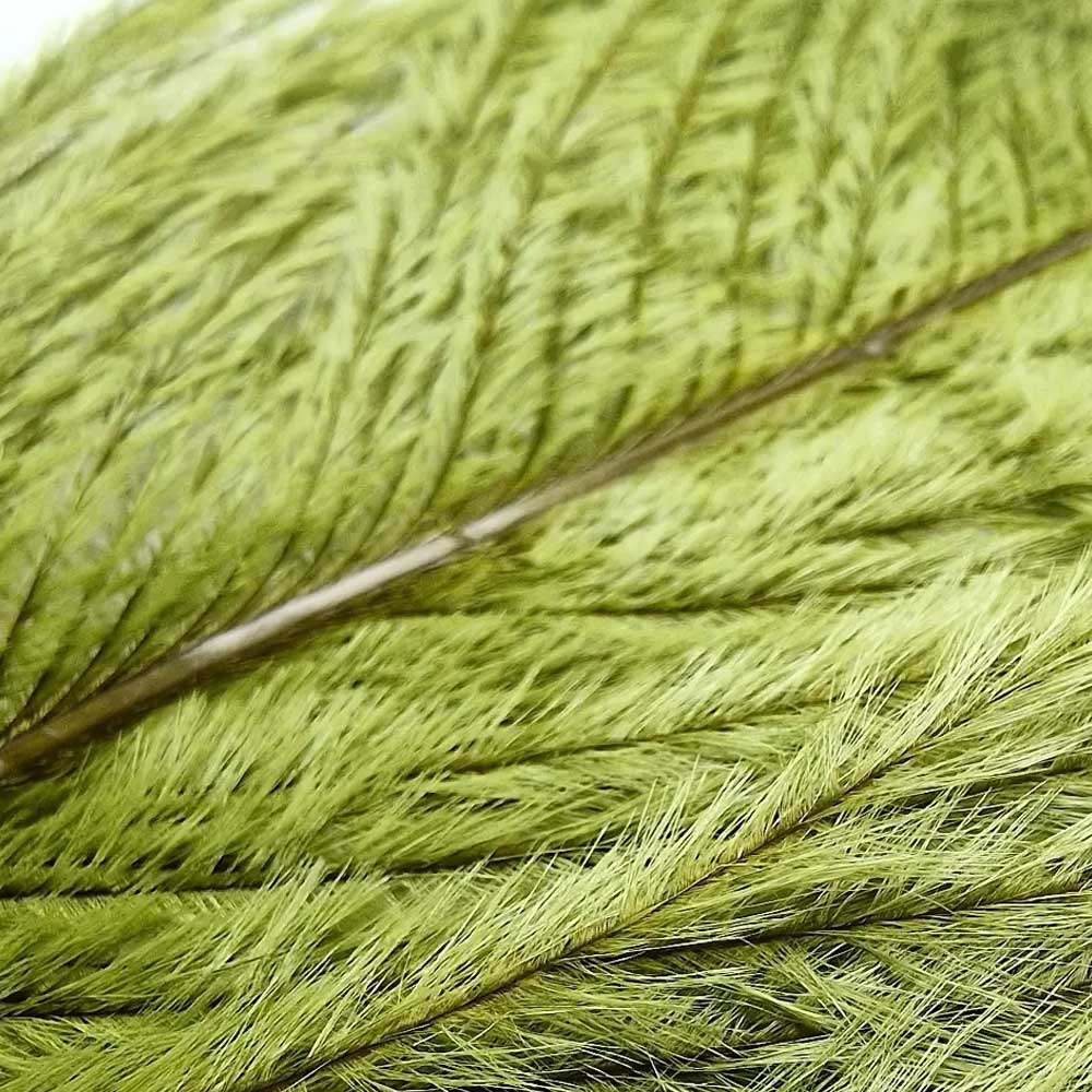 Veniard Ostrich Herl