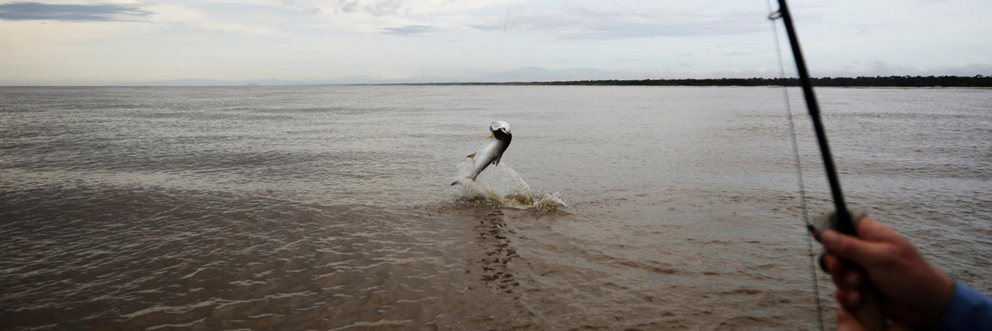 costa rica fly fishing