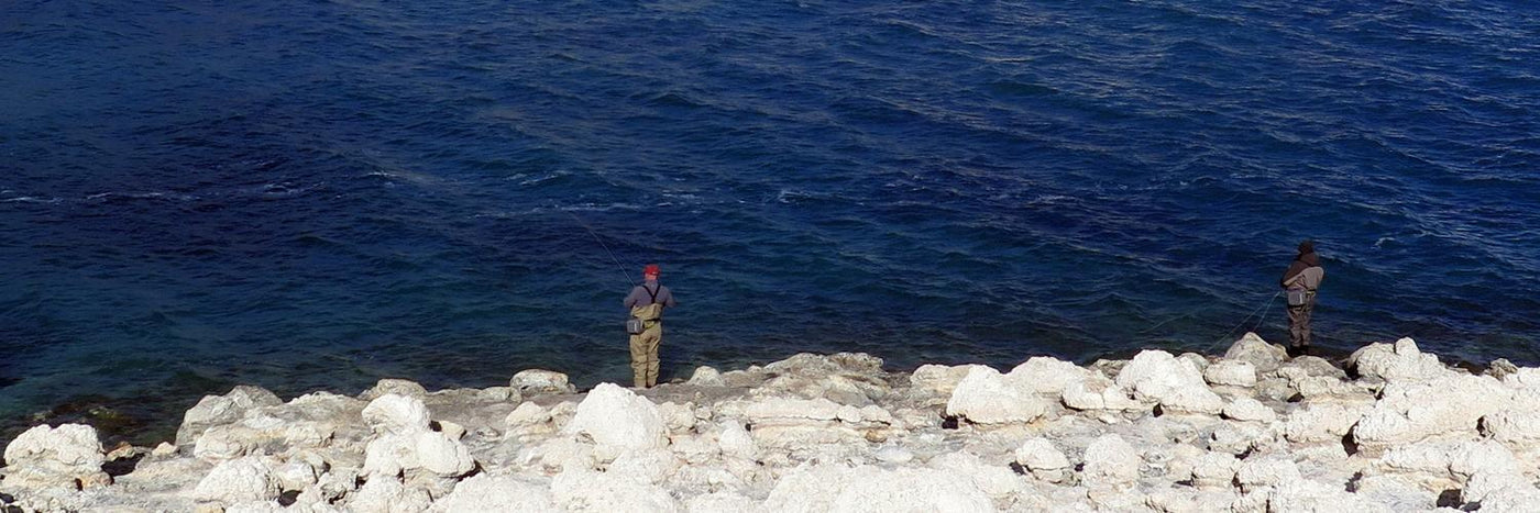 Huge rout Jurassic Lodge