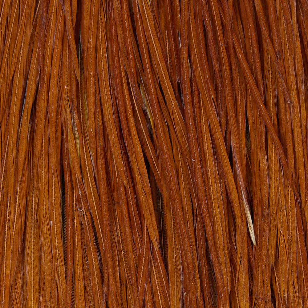 Whiting High & Dry 1/2 Cape