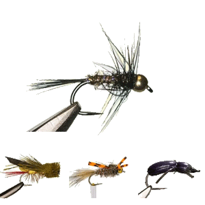 Freshwater Flies