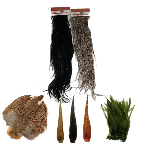 Hackles and Feathers