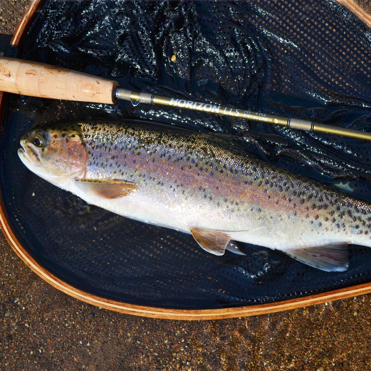 Trout Gear