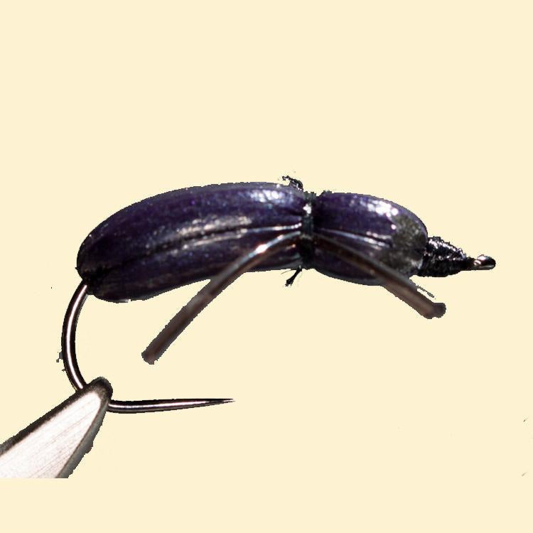 Good-Doctors-Beetle-Foam-Over-Foam-08-Purple-2.jpg