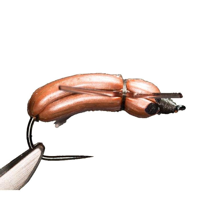 Good Doctor's Beetle - Foam Over Foam - 3 pack | Frontier Fly Fishing
