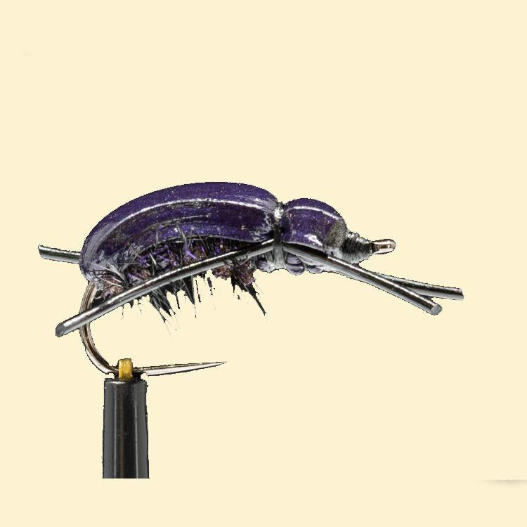 Good-Doctors-Beetle-Original-08-Purple-2.jpg