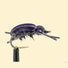 Good-Doctors-Beetle-Original-08-Purple-2.jpg