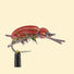 Good-Doctors-Beetle-Original-08-Copper-2.jpg