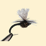 Klinkhamer-Black-14-2.jpg