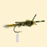 Gold-Ribbed-Hares-Ear-Rubber-Legs-Olive-12-2.jpg