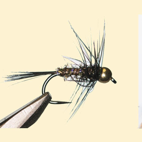 ZAK-Nymph-Natural-16-2.jpg