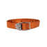 Fishpond-Trucha-Webbing-Belt-Eco-Cutthroat-Orange-2.jpg