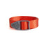 Fishpond-King-Webbing-Belt-Coral-2.jpg