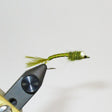 Pearl-Eye-Damsel.jpg